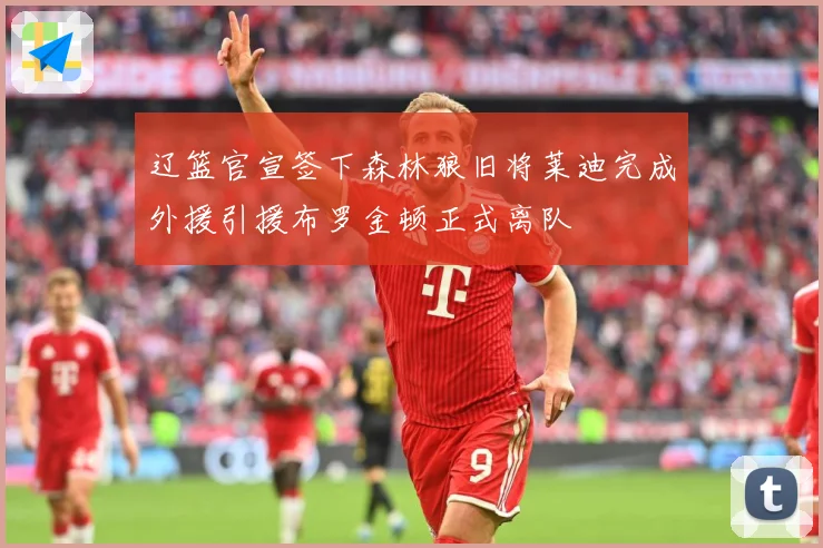 辽篮官宣签下森林狼旧将莱迪完成外援引援布罗金顿正式离队